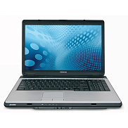SATELLITE L355